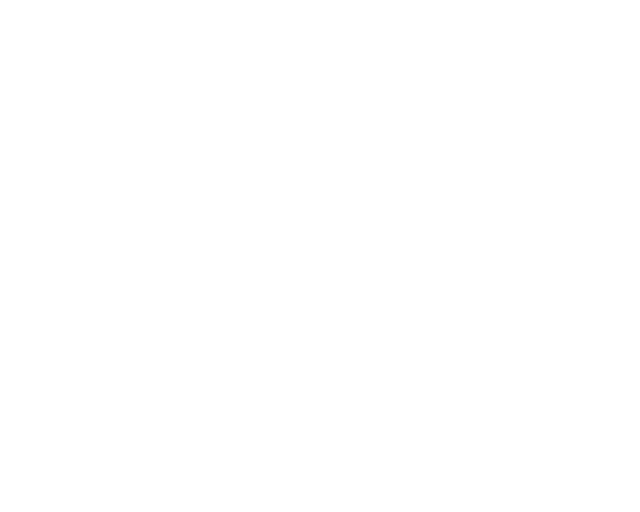 Webseite