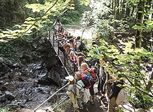 Gruppe von Kindern wandert über eine Brücke im Wald.